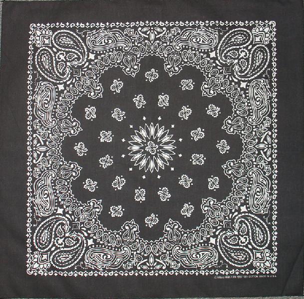 (image for) Bandanna Black Paisley 22" x 22"